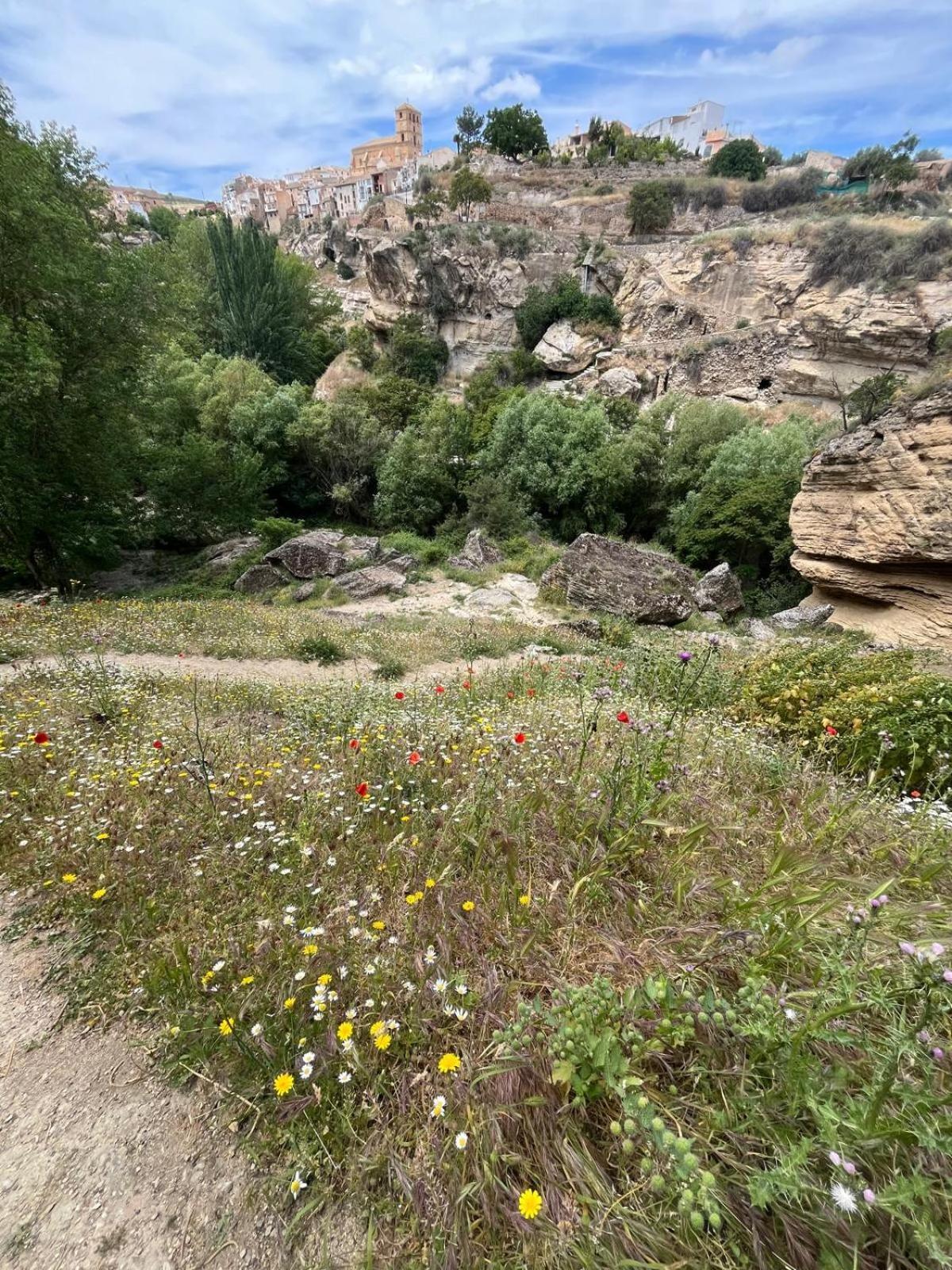 Alojamiento La Escalera Alhama de Granada Eksteriør bilde