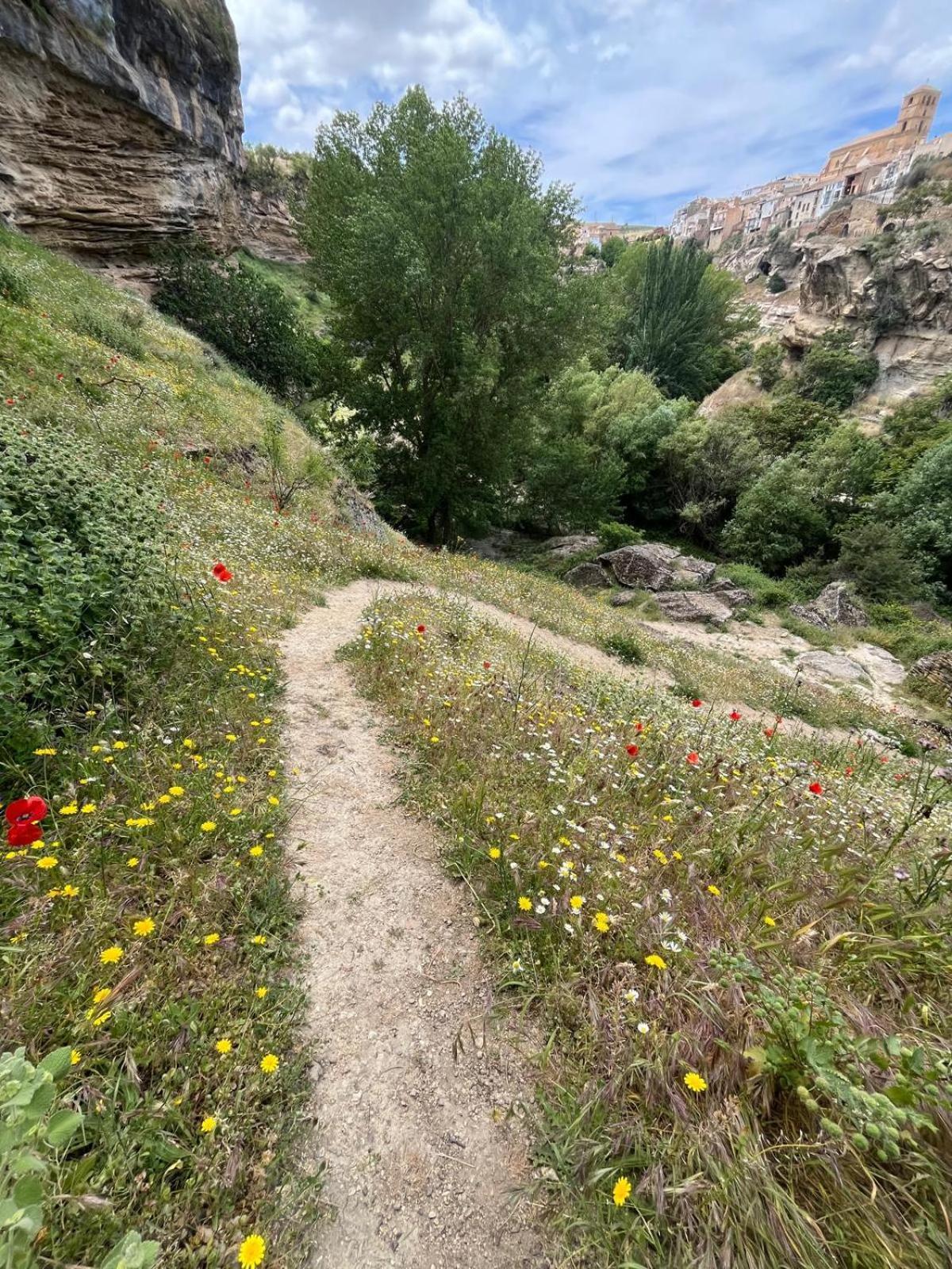 Alojamiento La Escalera Alhama de Granada Eksteriør bilde